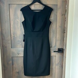 The Limited Black Dress size 4 tall